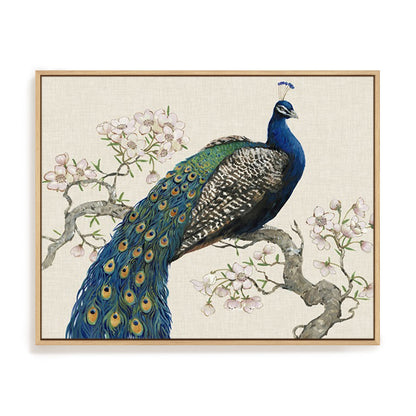 Peacock and Blossoms I
