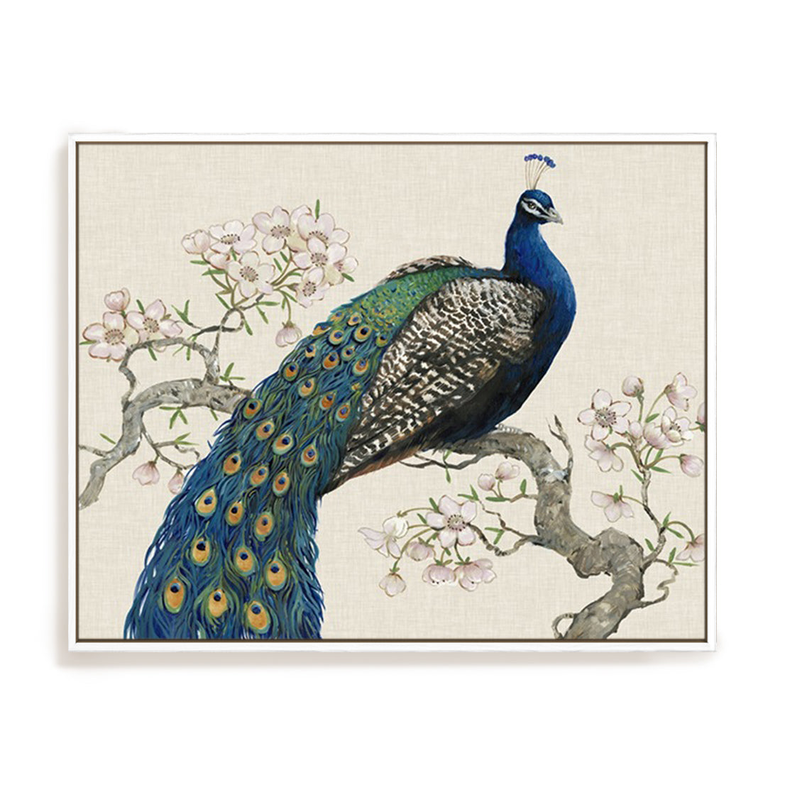 Peacock and Blossoms I