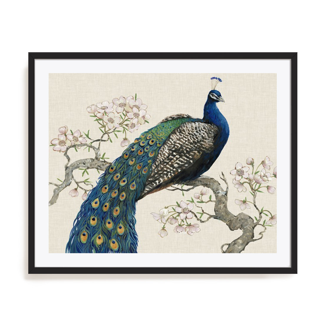 Peacock and Blossoms I