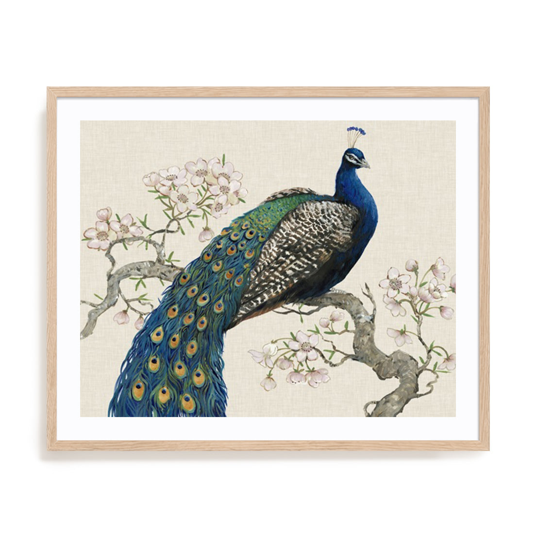 Peacock and Blossoms I