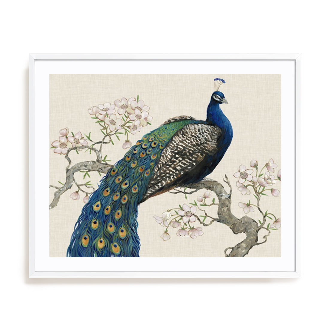 Peacock and Blossoms I