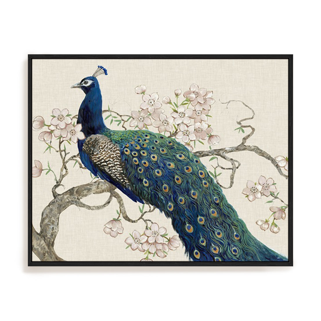 Peacock and Blossoms II