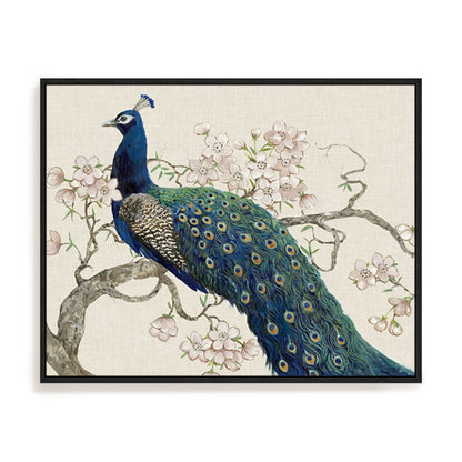 Peacock and Blossoms II