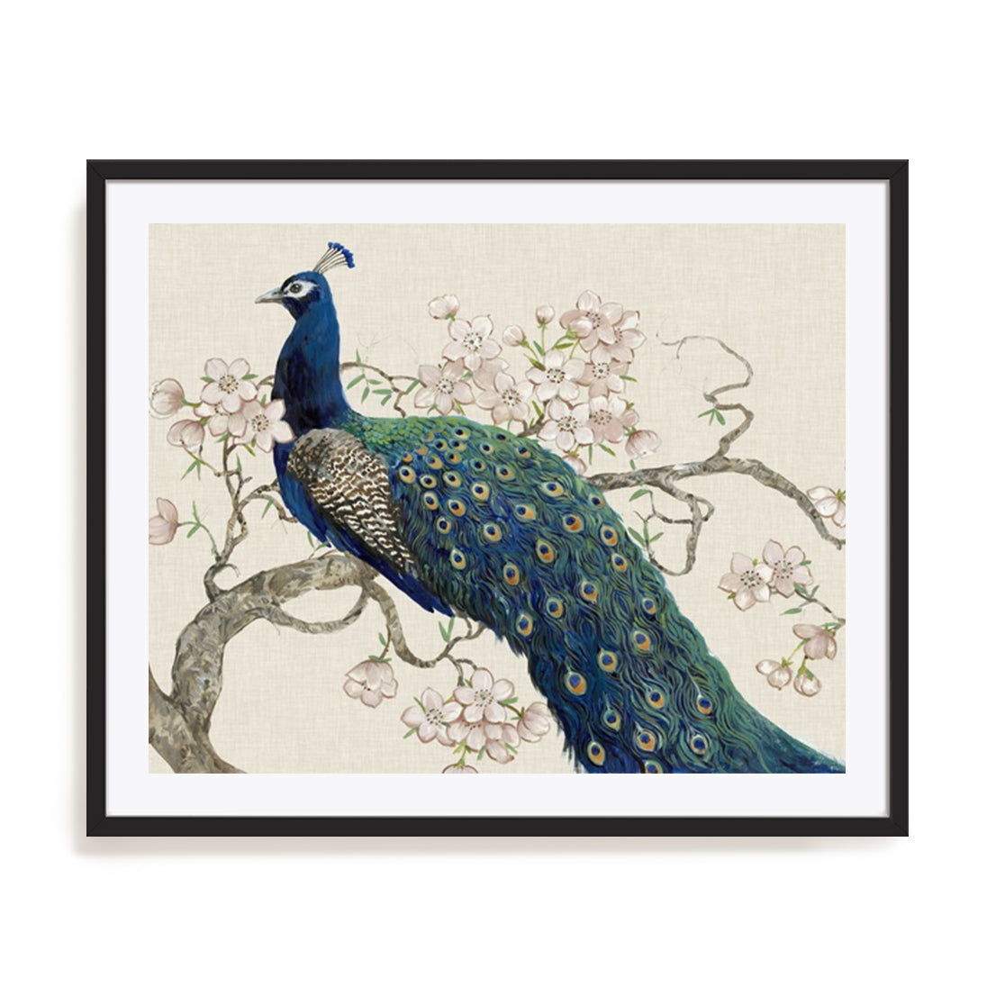 Peacock and Blossoms II