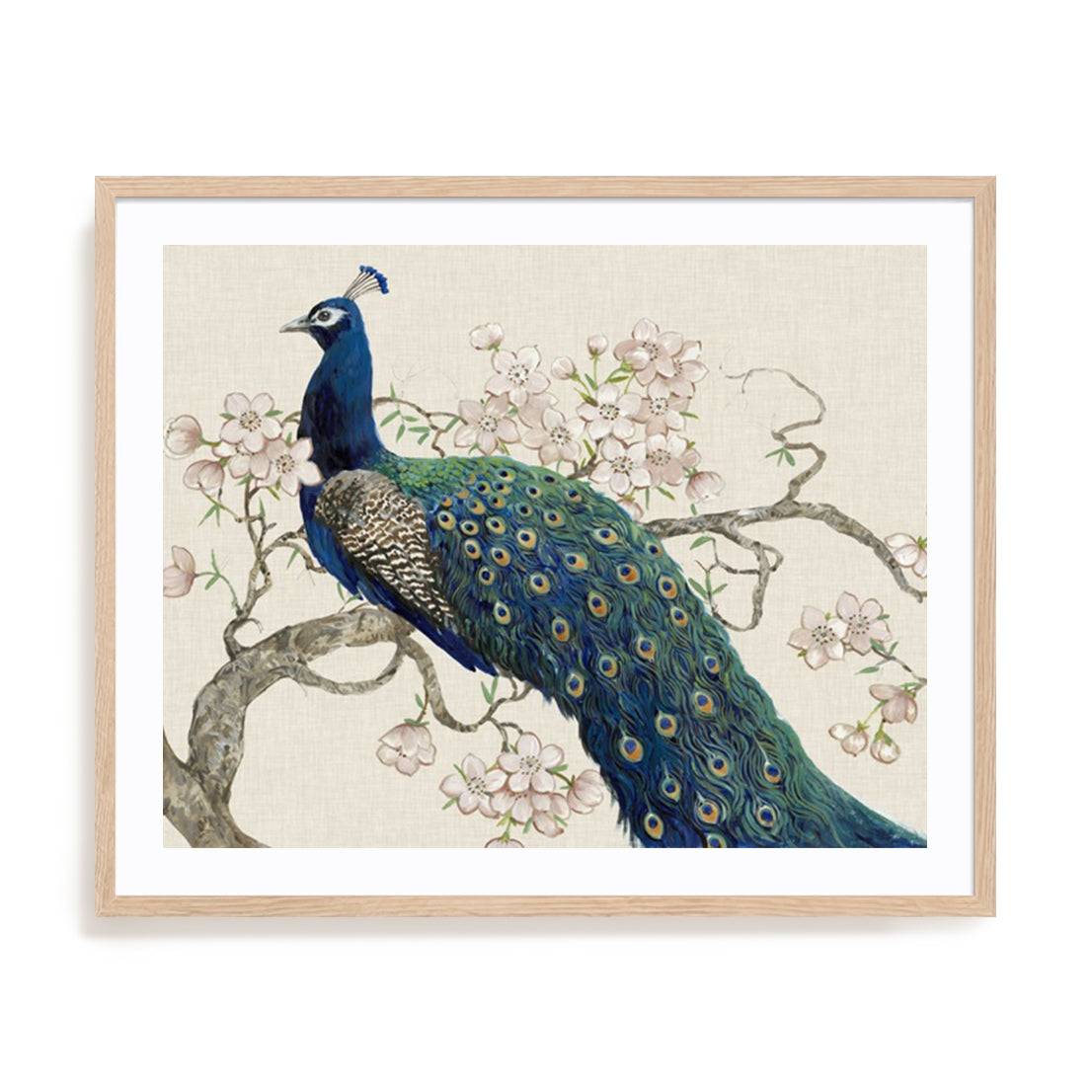 Peacock and Blossoms II