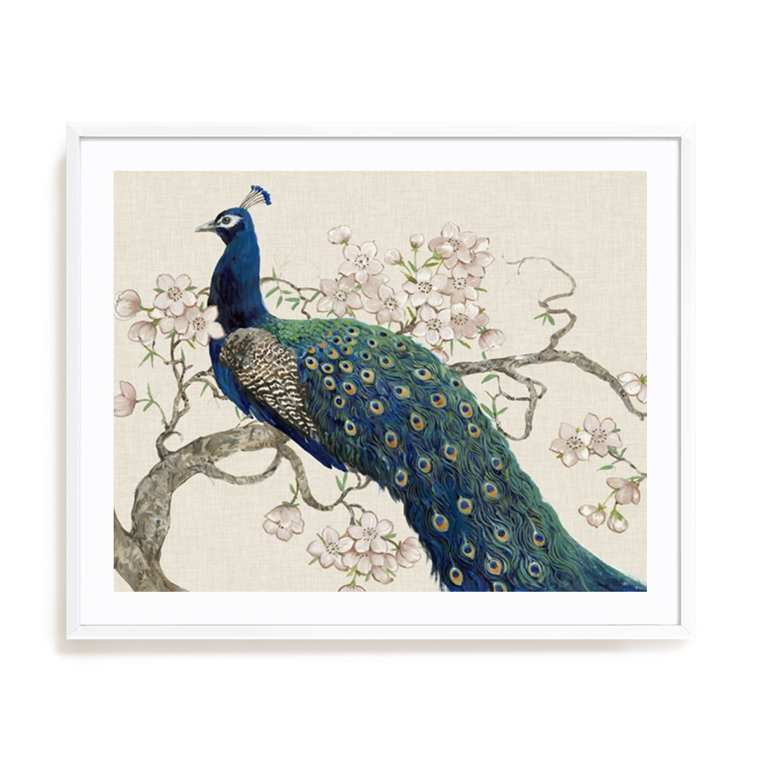 Peacock and Blossoms II