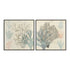 Sea Ephemera III and II Wall Art
