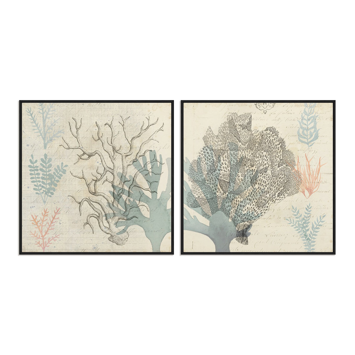 Sea Ephemera III and II Wall Art