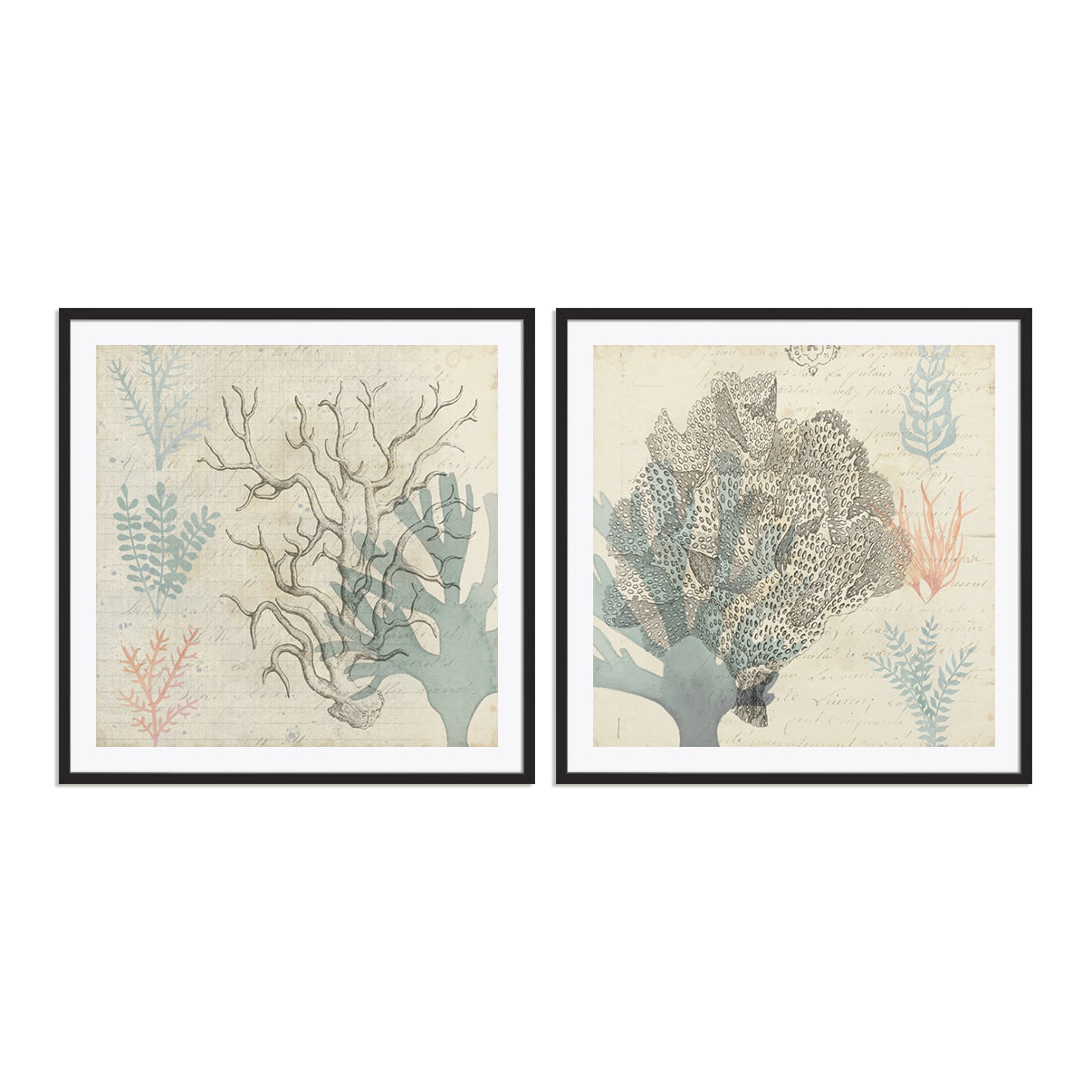 Sea Ephemera III and II Wall Art