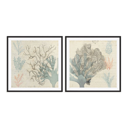 Sea Ephemera III and II Wall Art