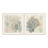 Sea Ephemera III and II Wall Art