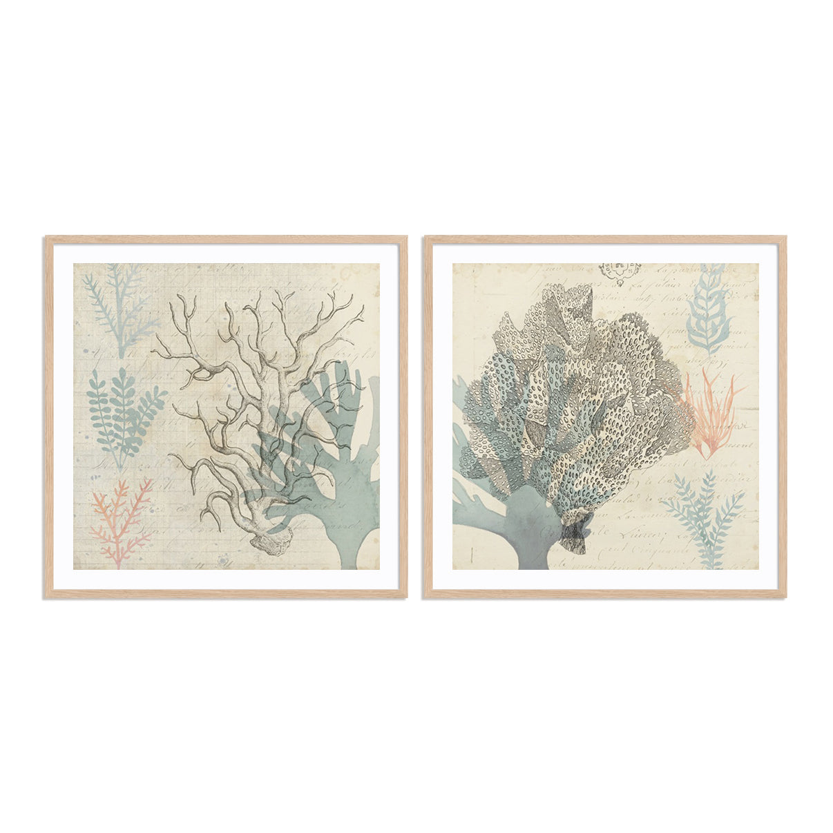 Sea Ephemera III and II Wall Art