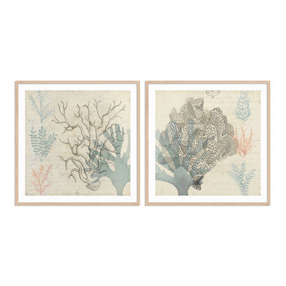 Sea Ephemera III and II Wall Art