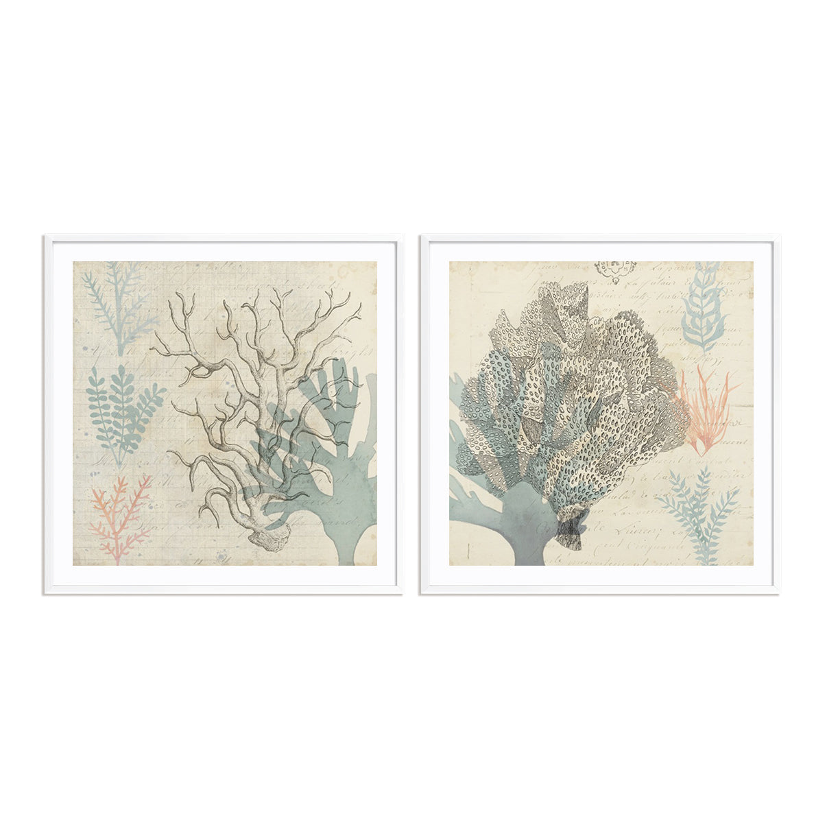 Sea Ephemera III and II Wall Art