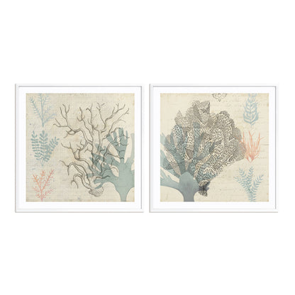 Sea Ephemera III and II Wall Art