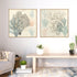 Sea Ephemera III and II Wall Art