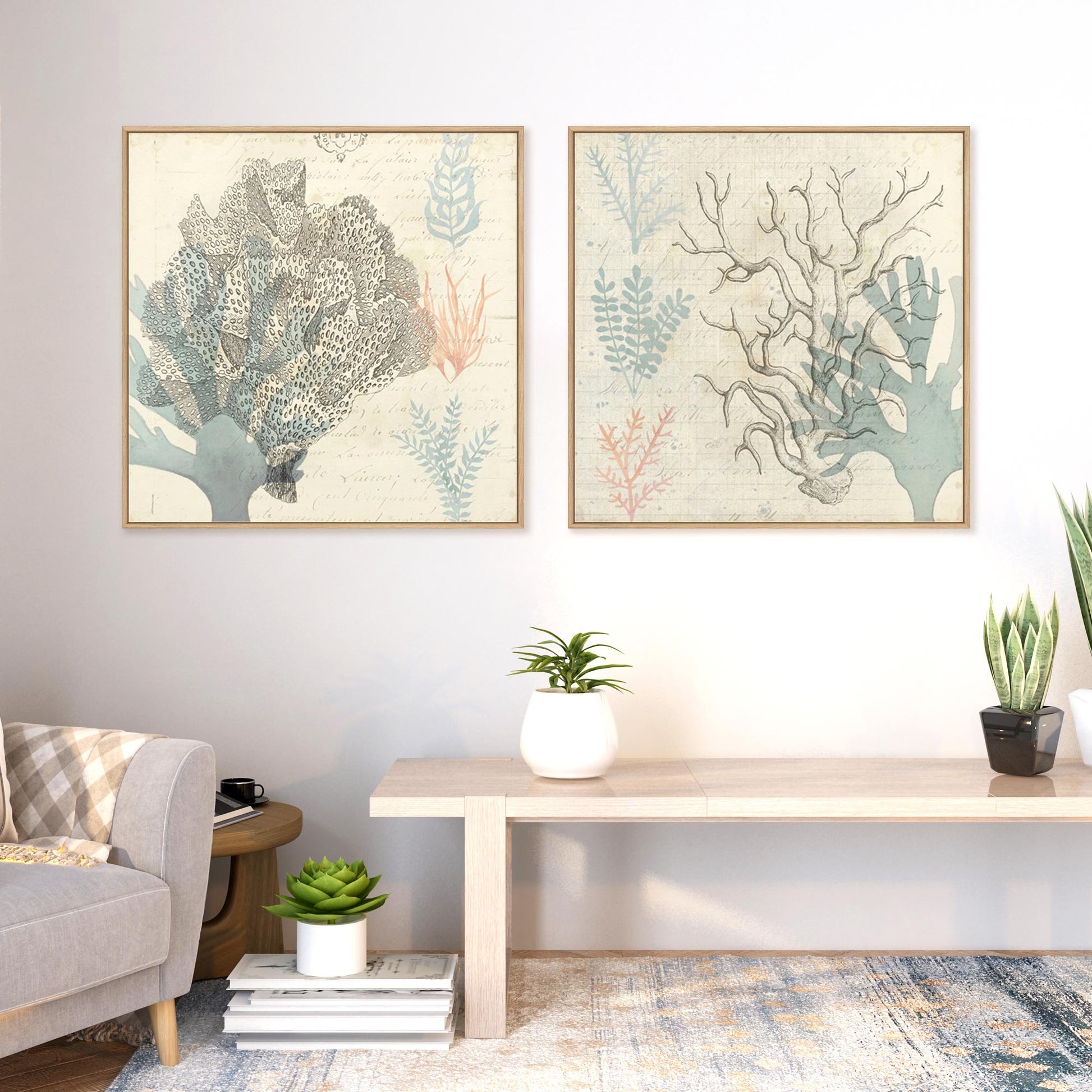 Sea Ephemera III and II Wall Art