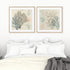 Sea Ephemera III and II Wall Art