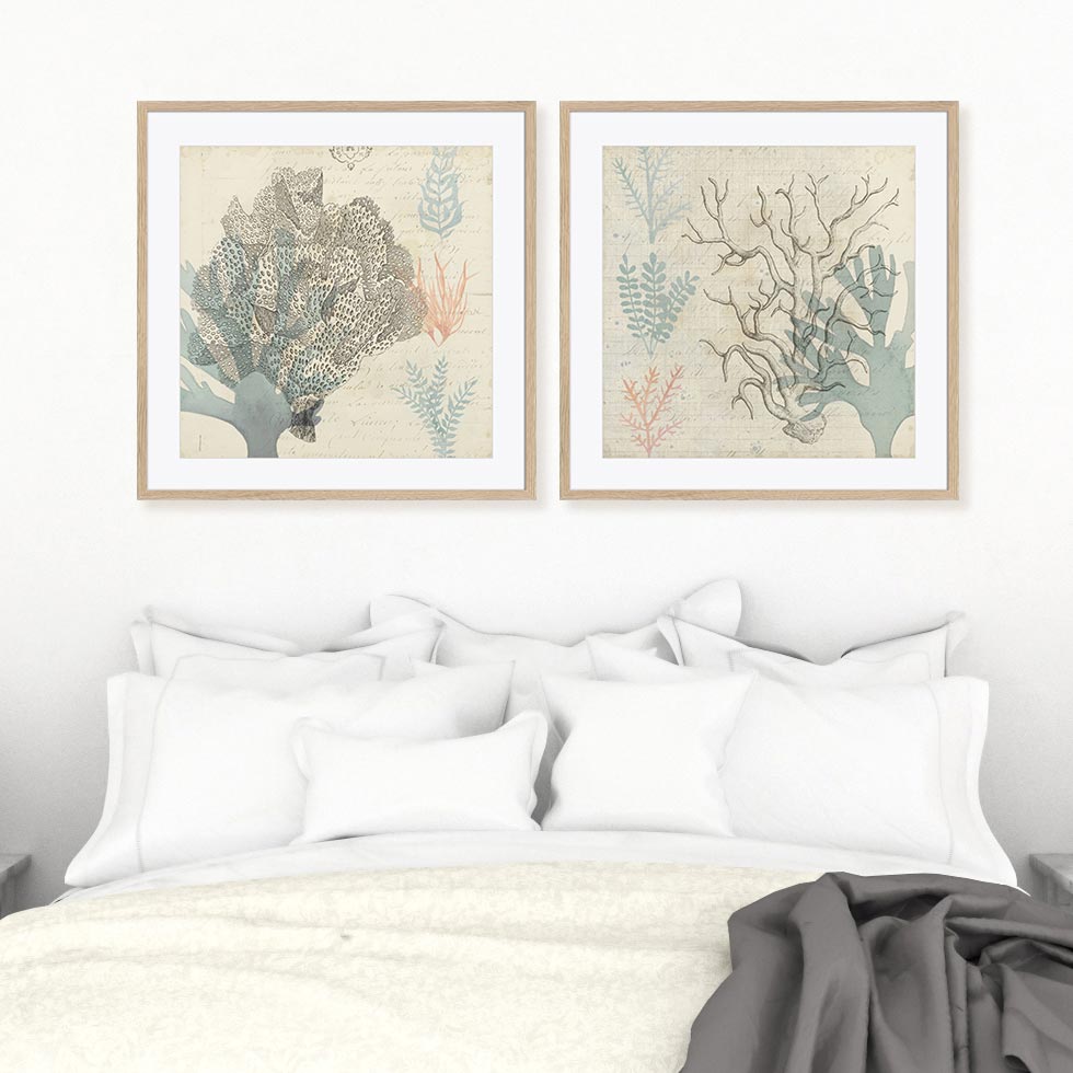 Sea Ephemera III and II Wall Art