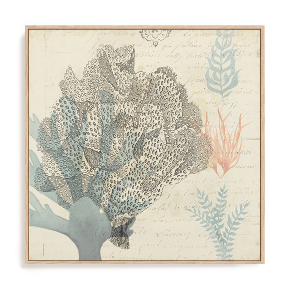 Sea Ephemera III