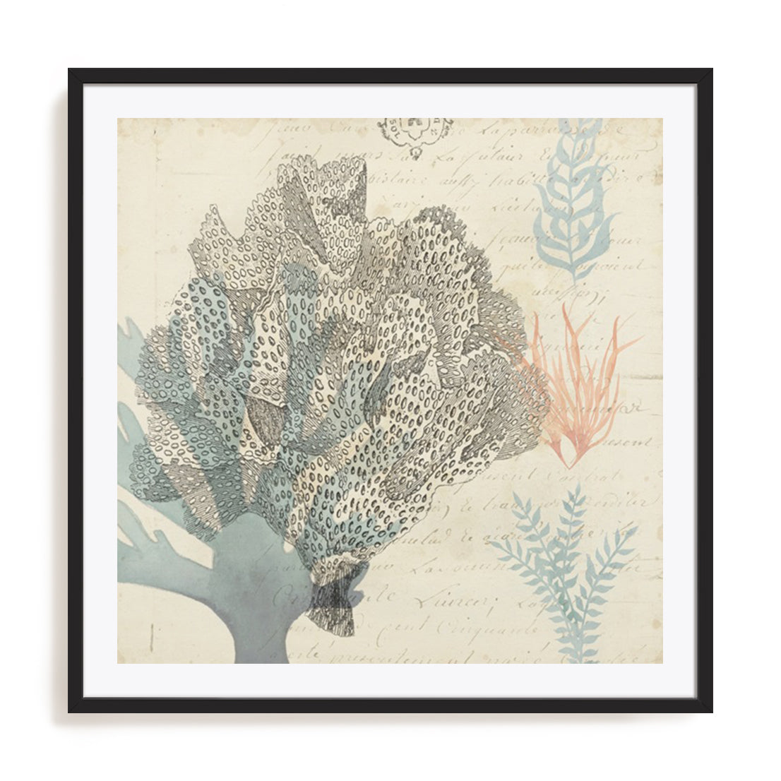 Sea Ephemera III