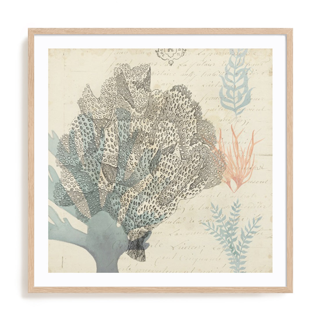 Sea Ephemera III