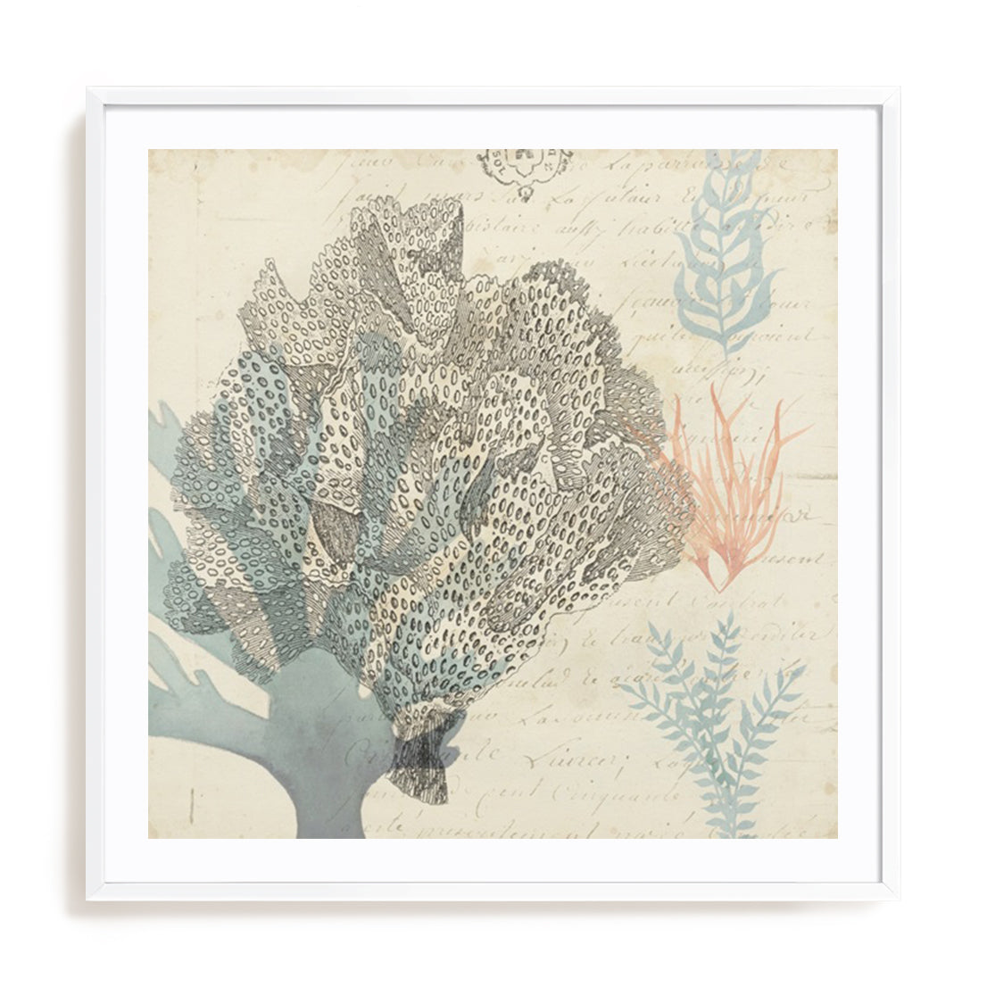 Sea Ephemera III