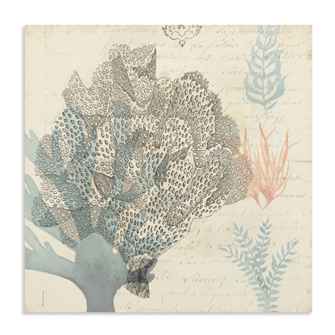 Sea Ephemera III