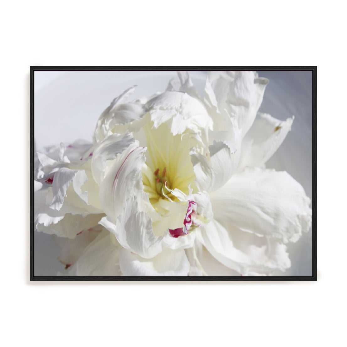 Breathless IV Wall Art