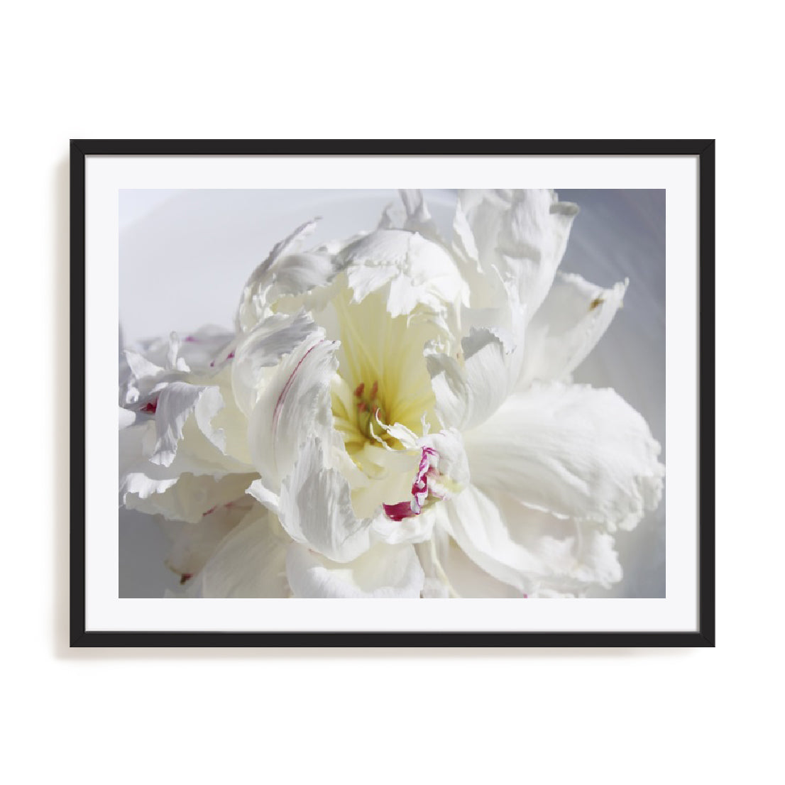 Breathless IV Wall Art