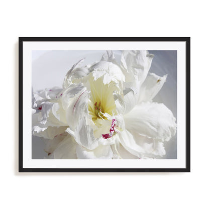 Breathless IV Wall Art