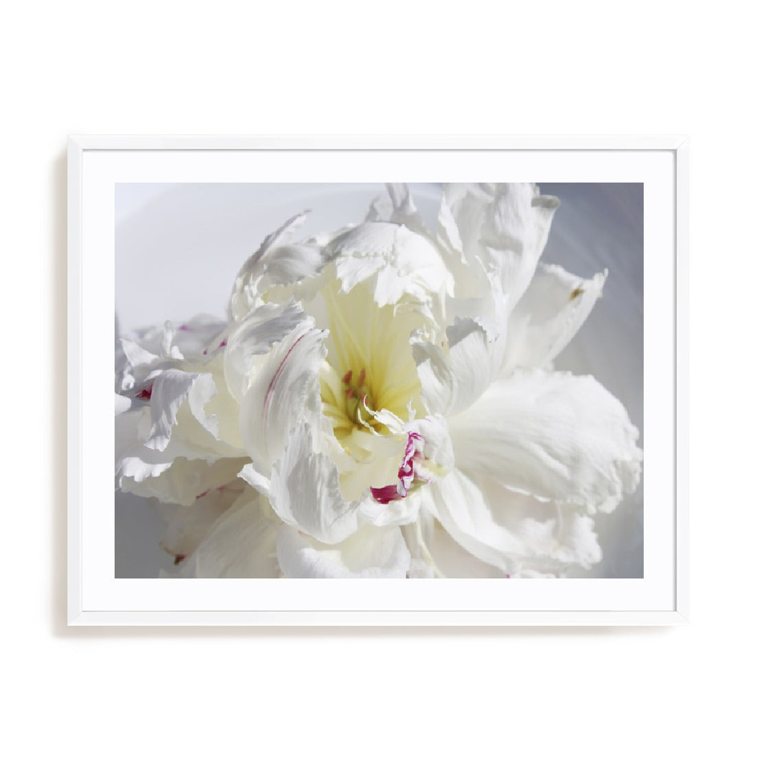 Breathless IV Wall Art