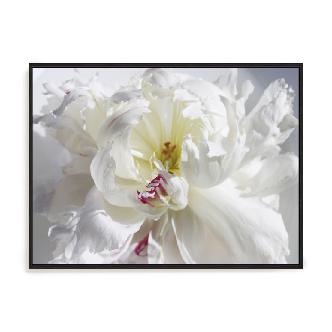 Breathless V Wall Art