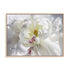 Breathless V Wall Art