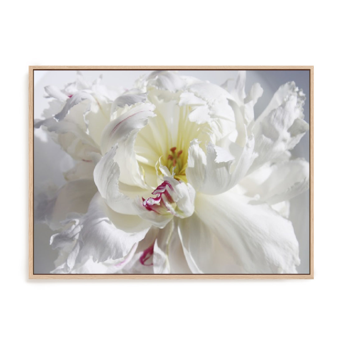 Breathless V Wall Art