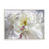 Breathless V Wall Art