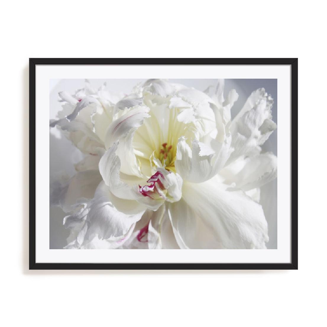 Breathless V Wall Art