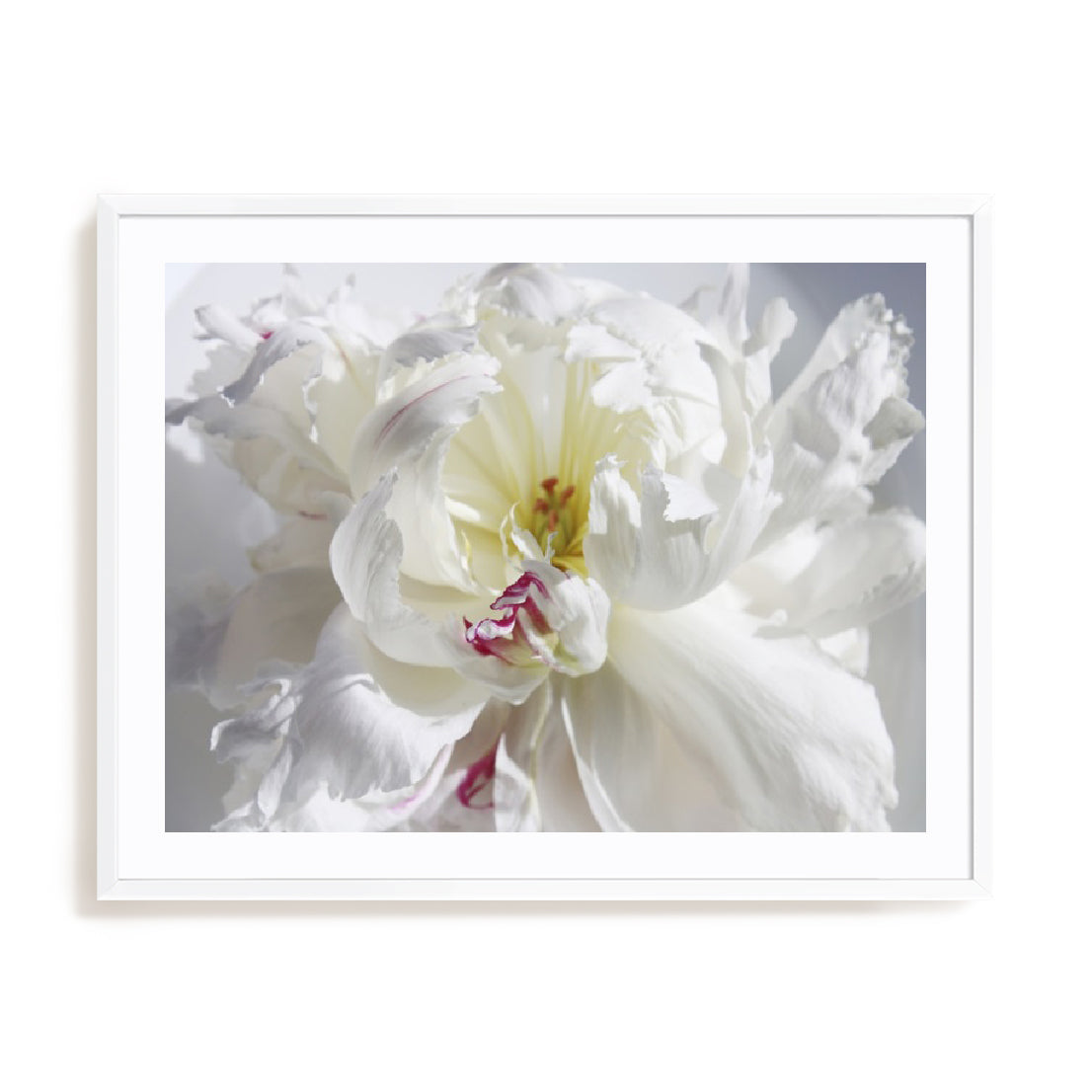 Breathless V Wall Art