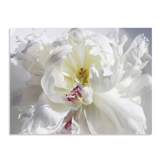 Breathless V Wall Art