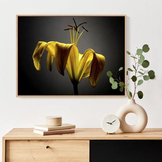 Studio Flowers V