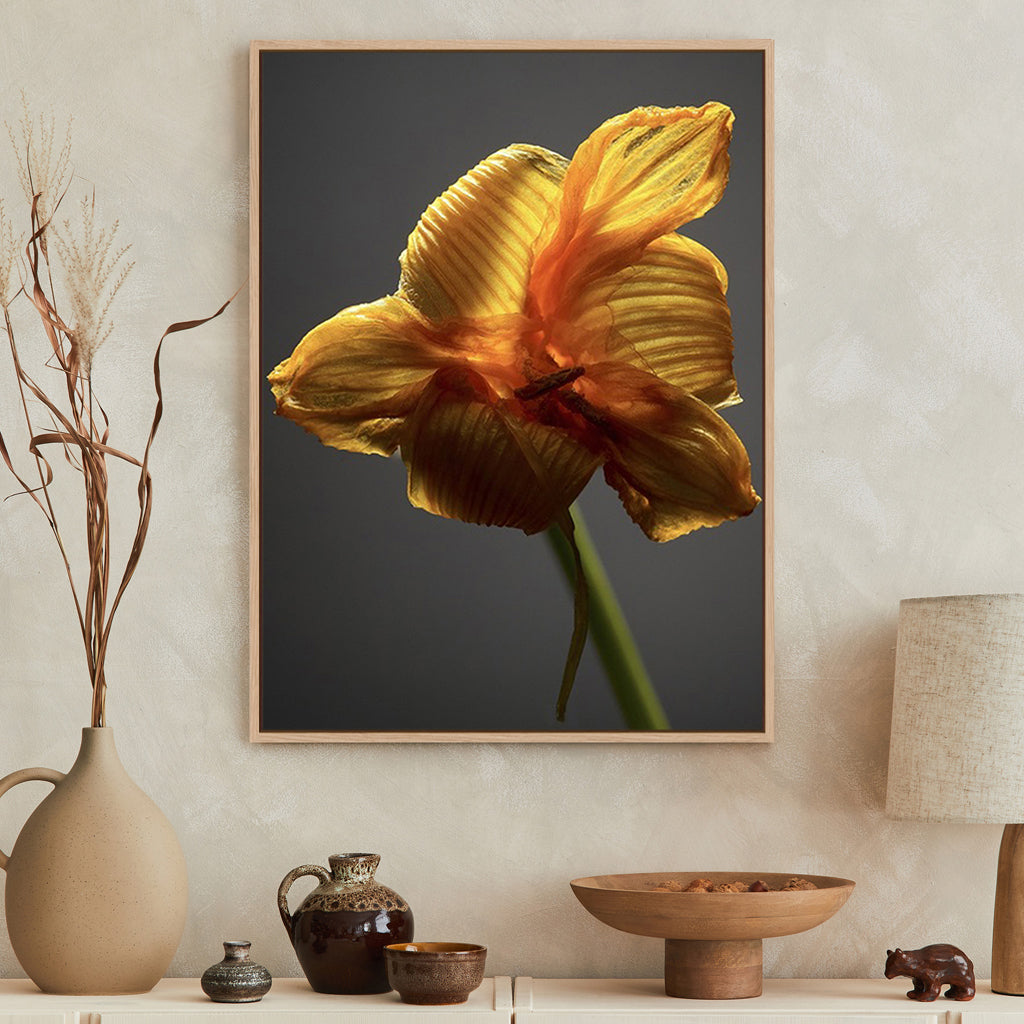 Studio Flowers XI