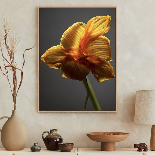 Studio Flowers XI