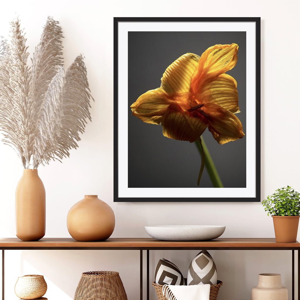 Studio Flowers XI