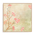 Sweet Cherry Blossoms I Wall Art