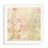 Sweet Cherry Blossoms I Wall Art #oran_white-white-border