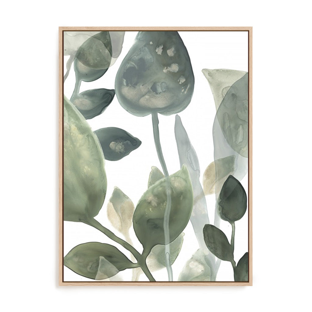 Water Leaves I
