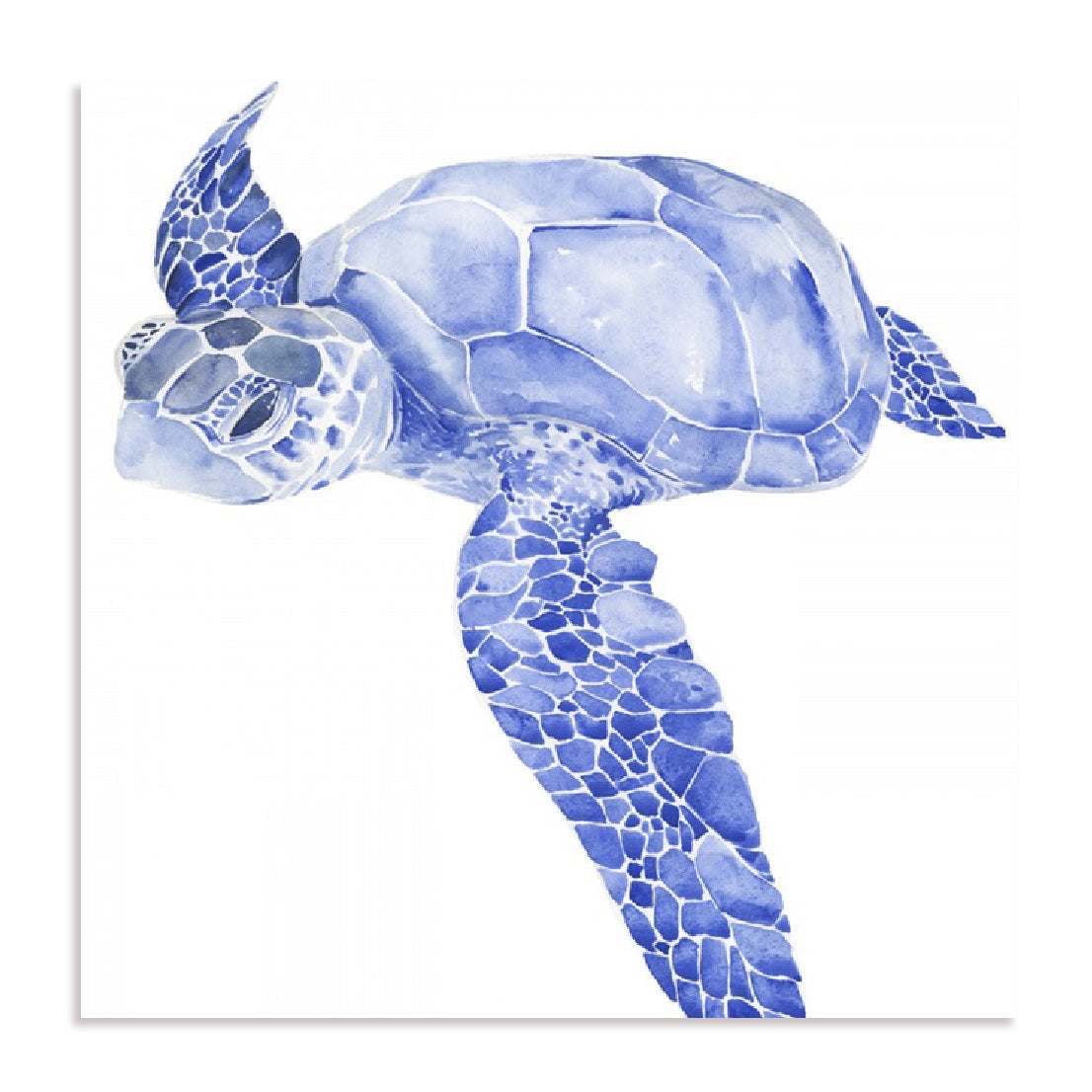 Ultramarine Sea Turtle I Wall Art