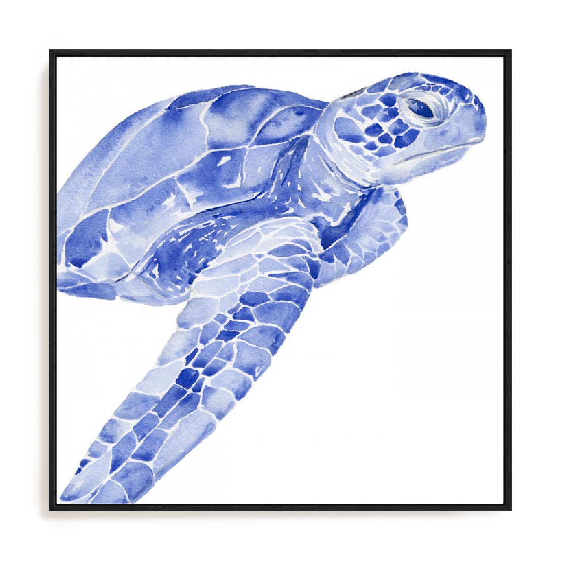 Ultramarine Sea Turtle II Wall Art