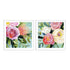 Brushy Floral I and II Wall Art