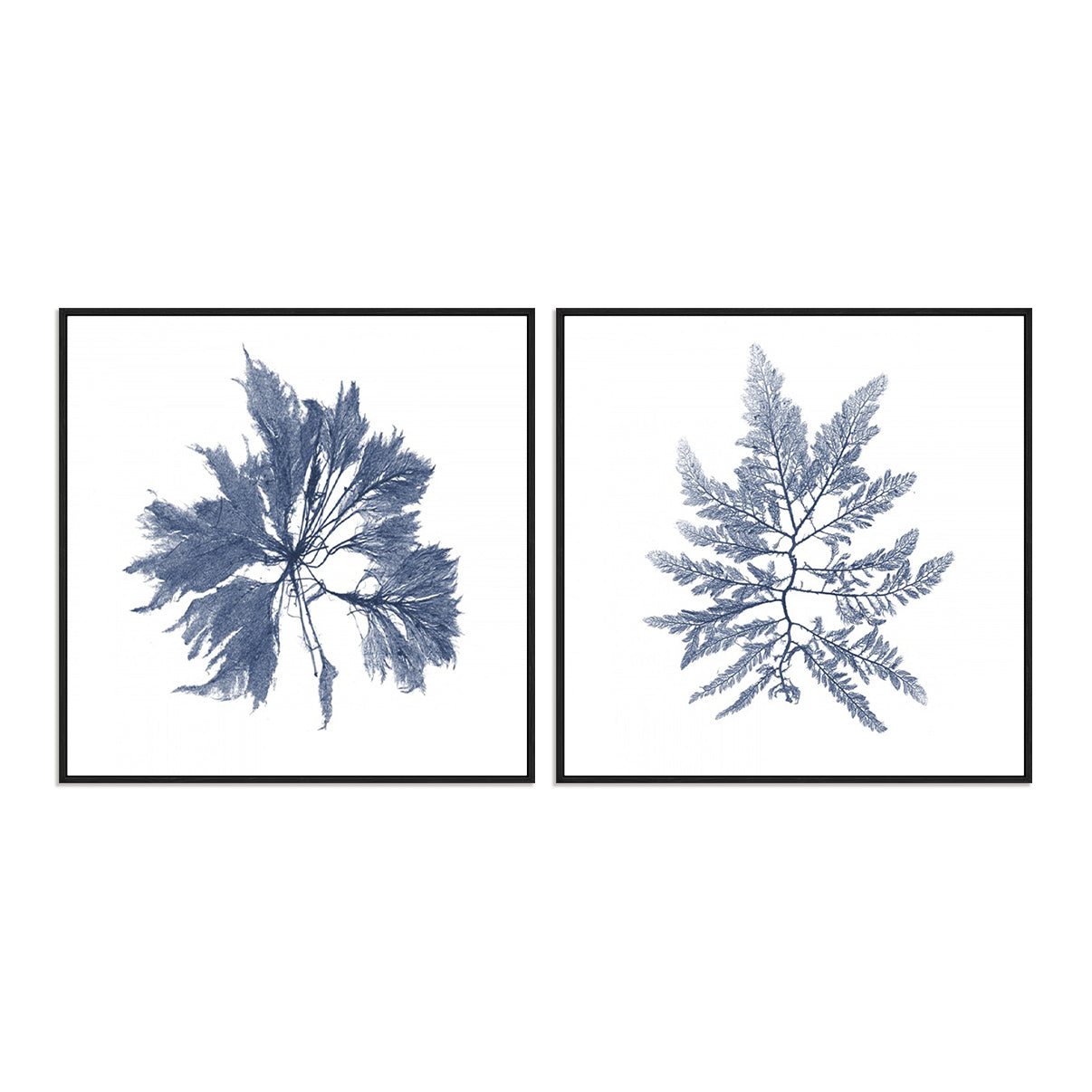 Navy Seaweed I and II Wall Art